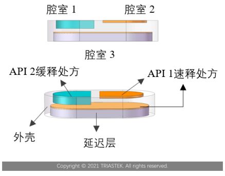 寫意報告丨醫療3D打印技術 505(b)(2)路徑下產品開發的新機遇與技術挑戰