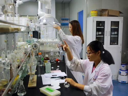 服務(wù)創(chuàng)新企業(yè) 助力科技騰飛 精武鎮(zhèn)信息技術(shù)咨詢服務(wù)企業(yè)成功獲批天津市企業(yè)重點(diǎn)實(shí)驗(yàn)室